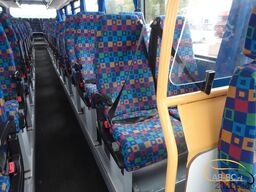 Irisbus IRISBUS