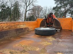 MAN TGM 13.250 BL 4x4 Allrad Kran Winterdienst