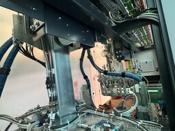 Steinbach-Errani KA 8, 2/33/008/21, VO-DA, 2/06/009/21