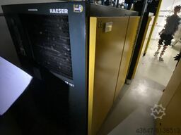Kaeser #5381 TE 121