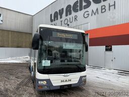 MAN A66 Lions's City M || Midi Low Entry