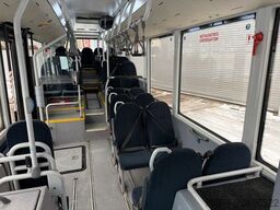 MAN A66 Lions's City M || Midi Low Entry