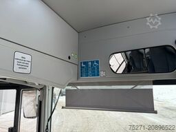 MAN A66 Lions's City M || Midi Low Entry