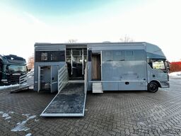 MAN 12 250 5 Pferde Pop-Out