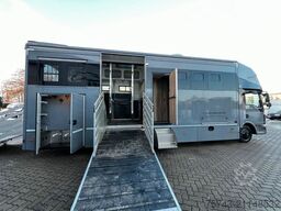 MAN 12 250 5 Pferde Pop-Out