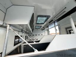 MAN 12 250 5 Pferde Pop-Out