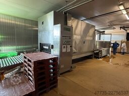 COLUSSI ERMES LSC 1500