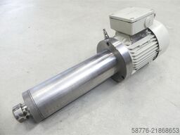 GMN TSE 80 x 250 - 6007 Spindel SN: R307942 mit Siemens 1LA5073-4AB95-Z Motor