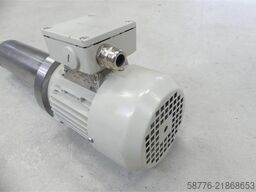 GMN TSE 80 x 250 - 6007 Spindel SN: R307942 mit Siemens 1LA5073-4AB95-Z Motor