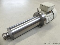 GMN TSE 80 x 250 - 6007 Spindel SN: R307943 mit Siemens 1LA5073-4AB95-Z Motor