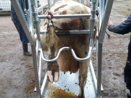  Klauwbekapbox Type L