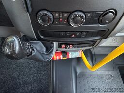 MERCEDES-BENZ Sprinter 313 Cdi Maxi Flex-i-Trans 9 Sitze+Lift