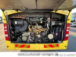 MERCEDES-BENZ Tourismo L 17 RHD/517/Travego/Cityliner