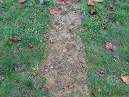 Cristanini Ghibli DHR 8