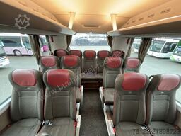 MAN R 07 Lion´s Coach