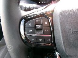 FORD Tourneo Custom 320L2 Active 4x4 AHK Pano 19Zoll