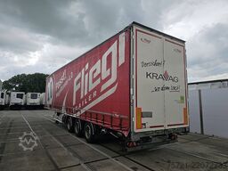 FLIEGL SDS 390