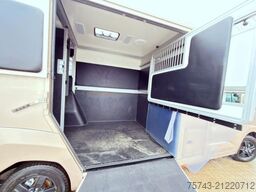 RENAULT MASTER STX NEW MODELL 2025 5 Sitzer Haras ex. L