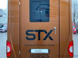 FORD Transit STX Haras  NEW MODELL. AUTOMATIK