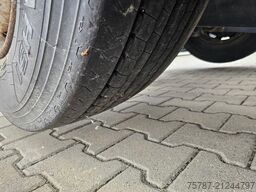 MERCEDES-BENZ 2545 BDF Twistlook, Klima, Euro 6, 2 x AHK