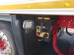 Schmitz Cargobull SKO 24 Rohrbahn Thermo King SLXe300 Whisper