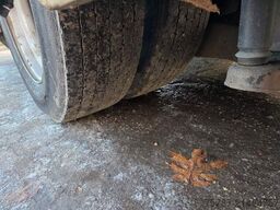 MERCEDES-BENZ Citaro O530 LE, Gurten,  Armlehnen, Gardinen