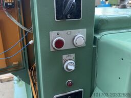 Weisser Heilbronn JUNIOR