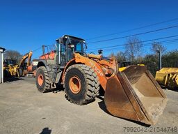 Hitachi ZW 310