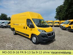 FIAT Ducato Maxi L5H3 Durchgangstüre Regale HOCHDACH