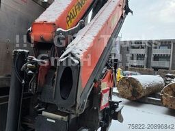 MAN TGA18.310 / 4X4 ALLRAD /20m Palfinger Kran/WINCH