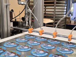 Neumann Doming System Manuell