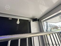 Ford Transit 1-2 Pferde Hengsttrennung