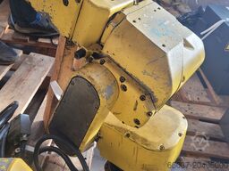 Fanuc Ltd LR Mate 200iB 3L