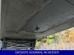 SCHMITZ CARGOBULL Doppelstock Blumenbreite ยค 689 e