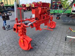 Maschio Intelligente