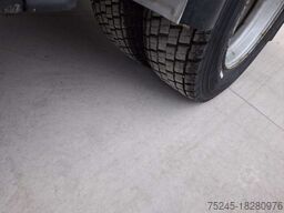 IVECO EUROCARGO 120EL 18 TRASPORTO CAVALLI