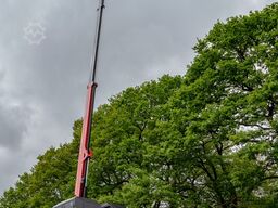 ALMACRAWLER JIBBI 1890 PRIMO ELC