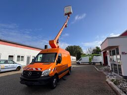 Mercedes-Benz Sprinter 516 Steiger France Elevateur142