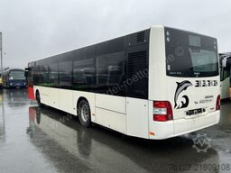 MAN A 37 Lion´s City