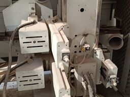 Gabbiani TM56