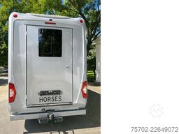 Mercedes-Benz Sprinter 319 STX 1-2 Pferde Hengsttrennung
