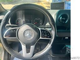 Mercedes-Benz Sprinter 319 STX 1-2 Pferde Hengsttrennung