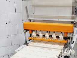 Werner & Pfleiderer Palettenstüpfler ST.A + PM