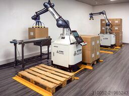 FJM Palettierer HYDRA 20 cobot palletizer