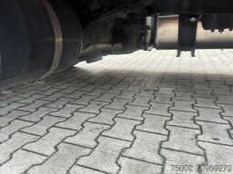 MAN TGX 18.420 ADR (EX/II, EX/III, FL, AT), PTO, 10...