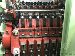 CARLO SALVI MULTI-PRESS MP.610