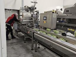 Record PANDA MD-ST with automotion automatic infeed