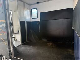 MERCEDES-BENZ SODIAK HORSE 2 Pferde Luxus Sprinter