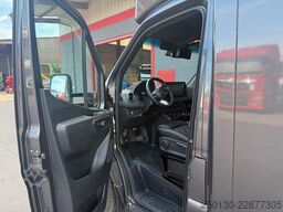 MERCEDES-BENZ SODIAK HORSE 2 Pferde Luxus Sprinter