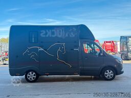 MERCEDES-BENZ SODIAK HORSE 2 Pferde Luxus Sprinter